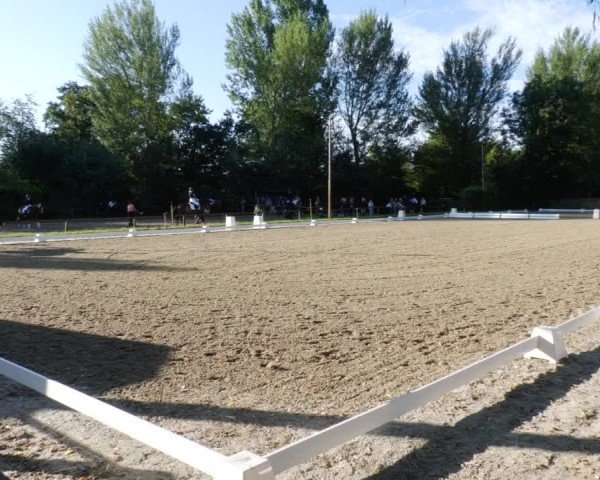 Reitturnier Heddesheim 2024