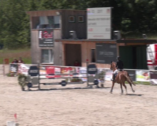 Springturnier Seewalchen 2024