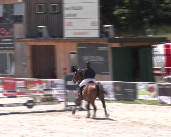 Springturnier Seewalchen 2024