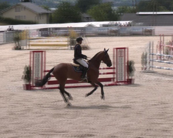 Springturnier Seewalchen 2024