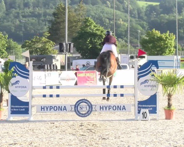Reitturnier Balsthal 2024