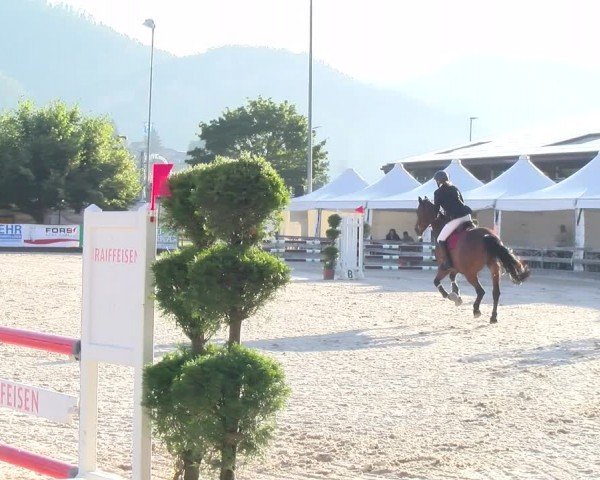 Reitturnier Balsthal 2024