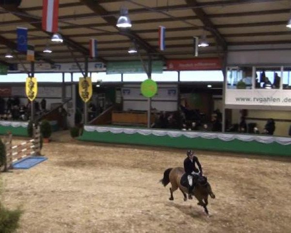 Hallenturnier Gahlen 04.-06.01.2013