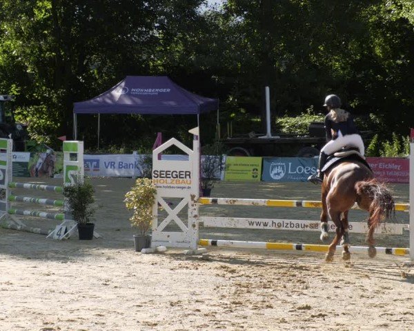 Reitturnier Heddesheim 2024