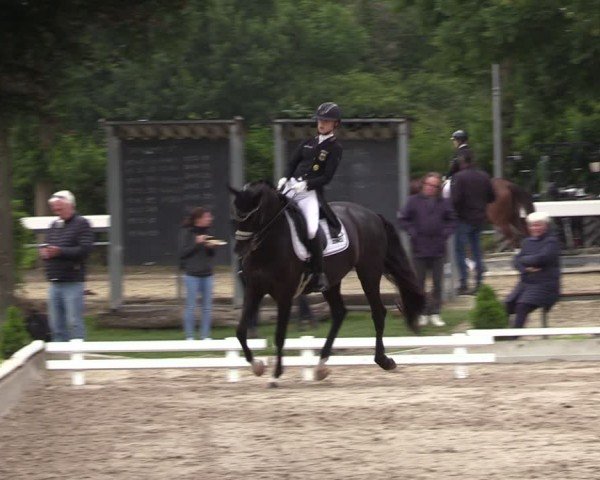 Reitturnier Fröndenberg 2024