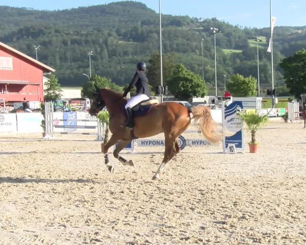 Reitturnier Balsthal 2024