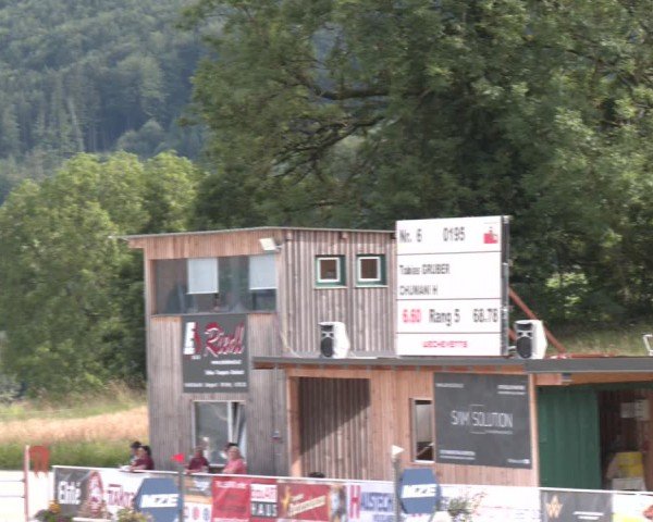 Springturnier Seewalchen 2024
