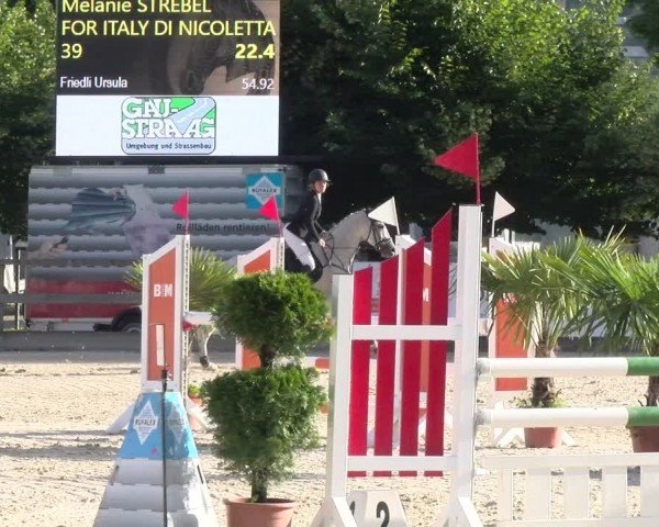 Reitturnier Balsthal 2024