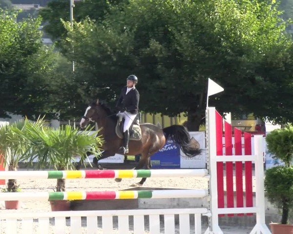 Reitturnier Balsthal 2024