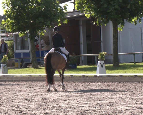 Reitturnier Fröndenberg 2024