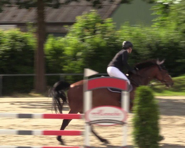 Reitturnier Fröndenberg 2024