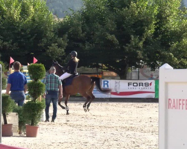 Reitturnier Balsthal 2024