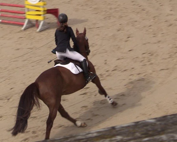 Reitturnier Uder, Reitanlage Kobold 2024