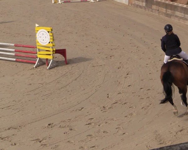 Reitturnier Uder, Reitanlage Kobold 2024