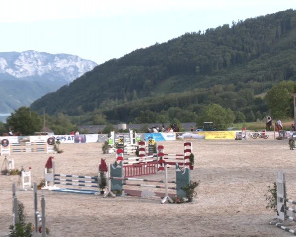 Springturnier Seewalchen 2024