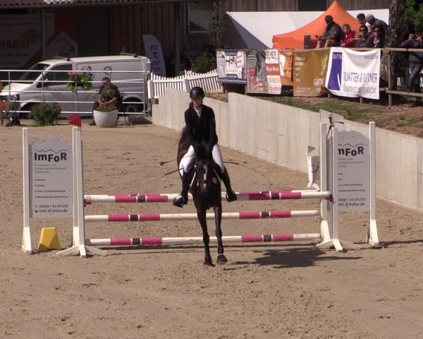 Reitturnier Uder, Reitanlage Kobold 2024