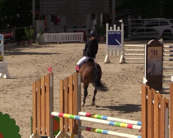 Reitturnier Uder, Reitanlage Kobold 2024