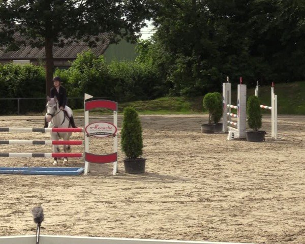Reitturnier Fröndenberg 2024