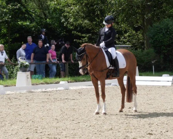 Reitturnier Heddesheim 2024