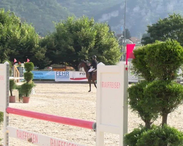 Reitturnier Balsthal 2024