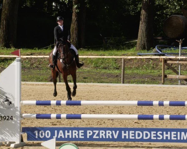 Reitturnier Heddesheim 2024