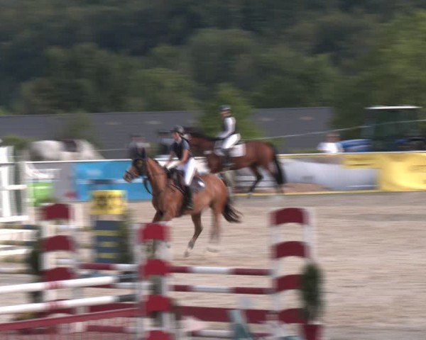 Springturnier Seewalchen 2024