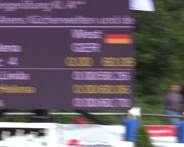 Reitturnier Delbrück-Ostenland 2024