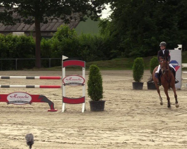 Reitturnier Fröndenberg 2024