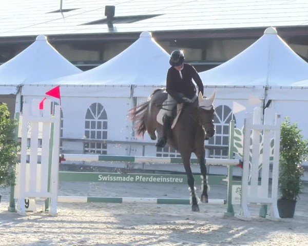 Reitturnier Balsthal 2024