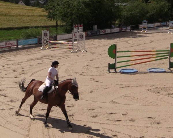 Reitturnier Uder, Reitanlage Kobold 2024