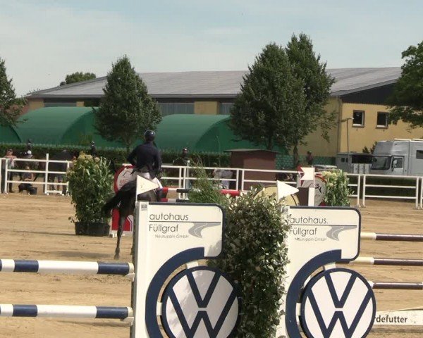 Reitturnier Neustadt/Dosse 2024