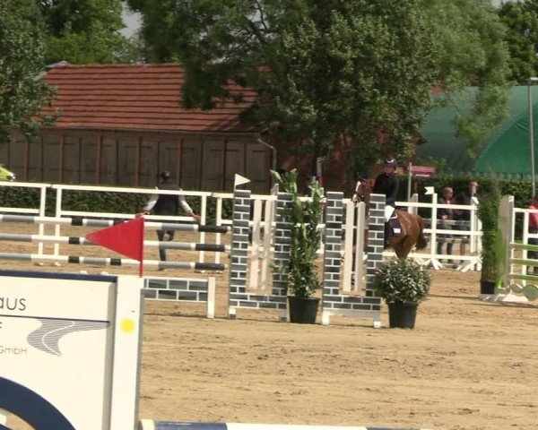 Reitturnier Neustadt/Dosse 2024