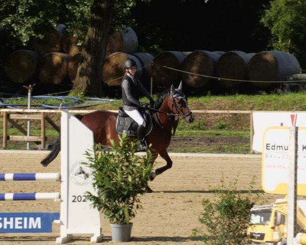 Reitturnier Heddesheim 2024
