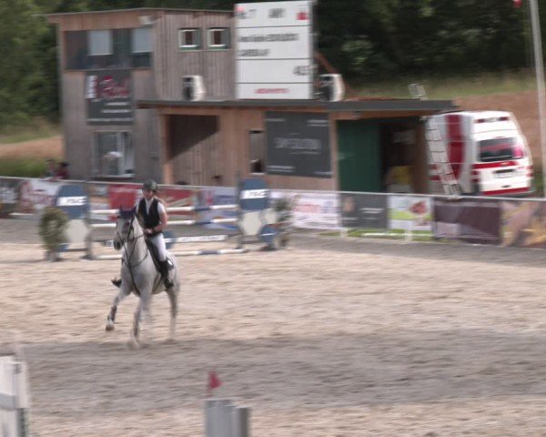 Springturnier Seewalchen 2024