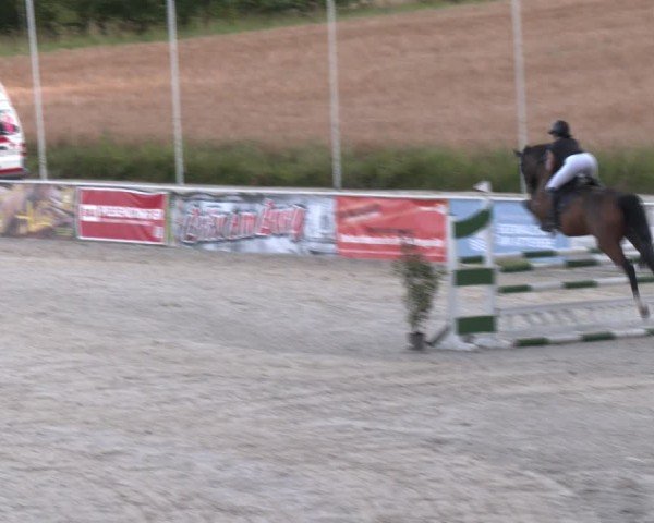 Springturnier Seewalchen 2024