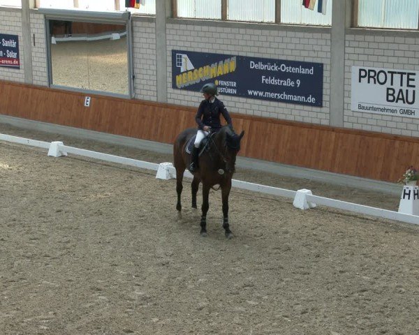 Reitturnier Delbrück-Ostenland 2024