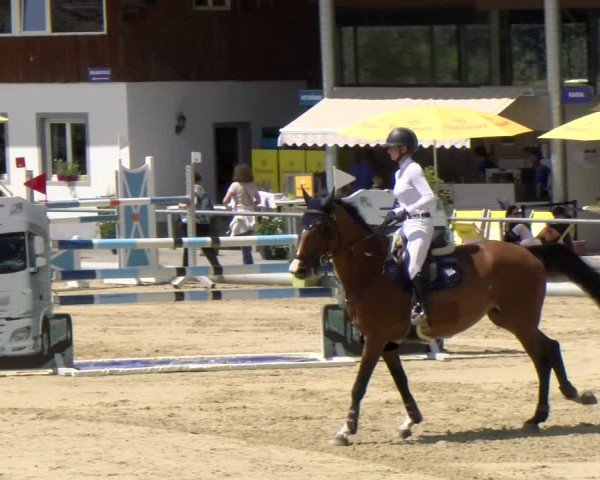Reitturnier Rankweil 2024