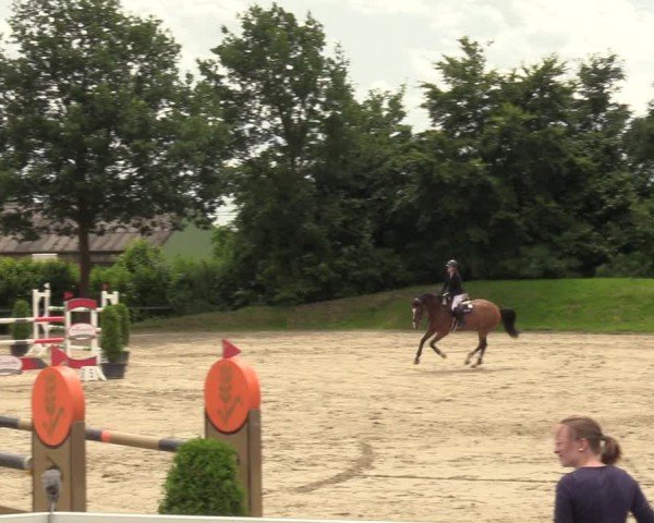 Reitturnier Fröndenberg 2024