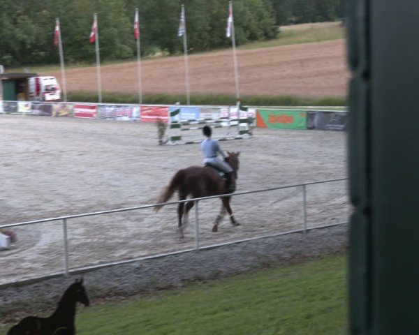 Springturnier Seewalchen 2024