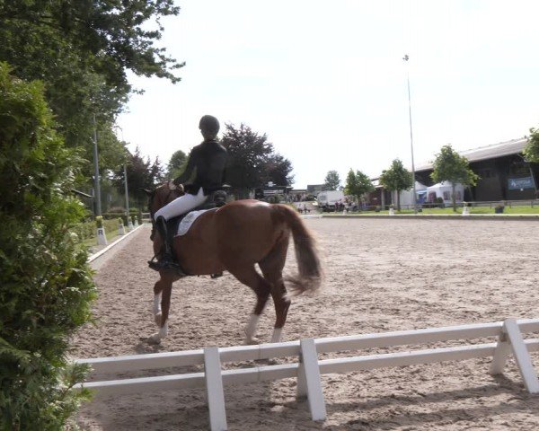 Reitturnier Fröndenberg 2024