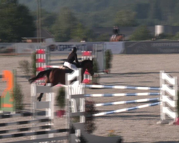 Springturnier Seewalchen 2024