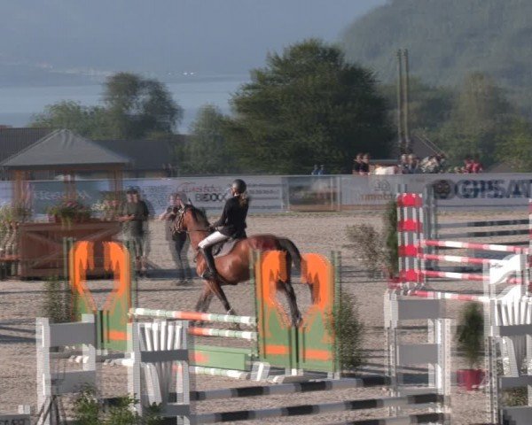 Springturnier Seewalchen 2024