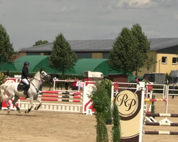 Reitturnier Neustadt/Dosse 2024