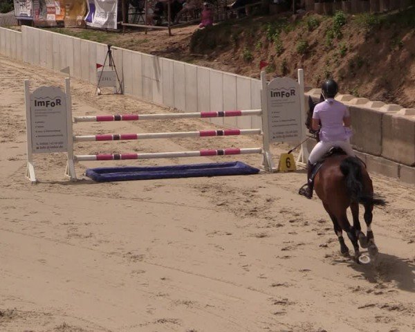 Reitturnier Uder, Reitanlage Kobold 2024