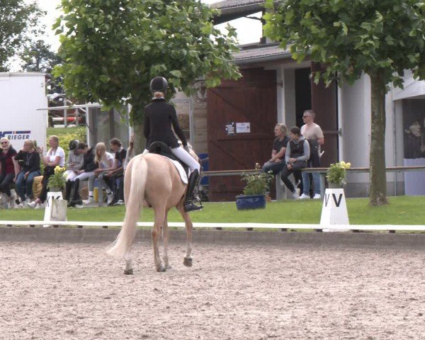 Reitturnier Fröndenberg 2024