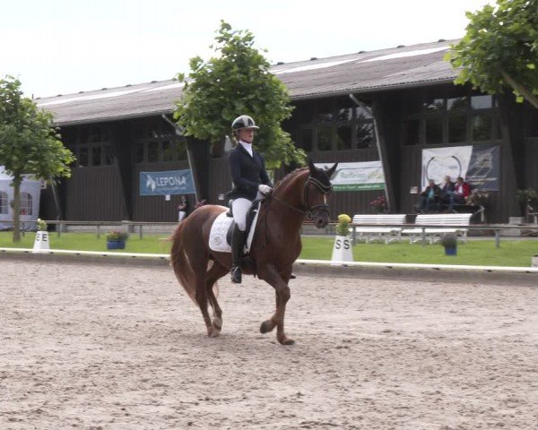 Reitturnier Fröndenberg 2024
