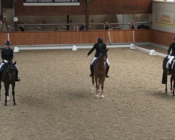 Reitturnier Delbrück-Ostenland 2024