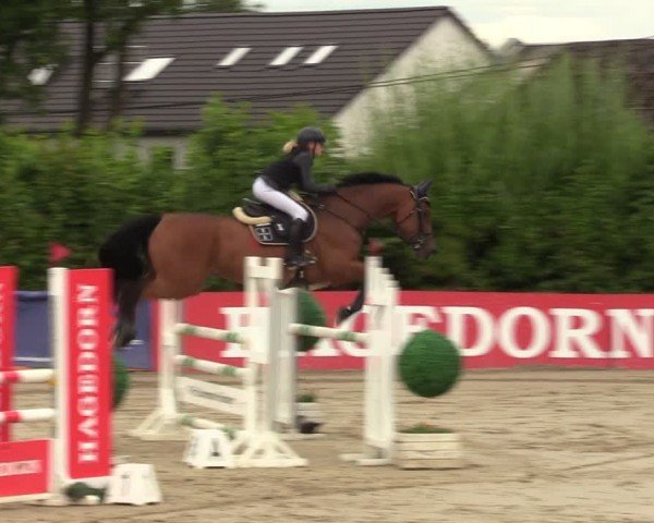 Reitturnier Fröndenberg 2024