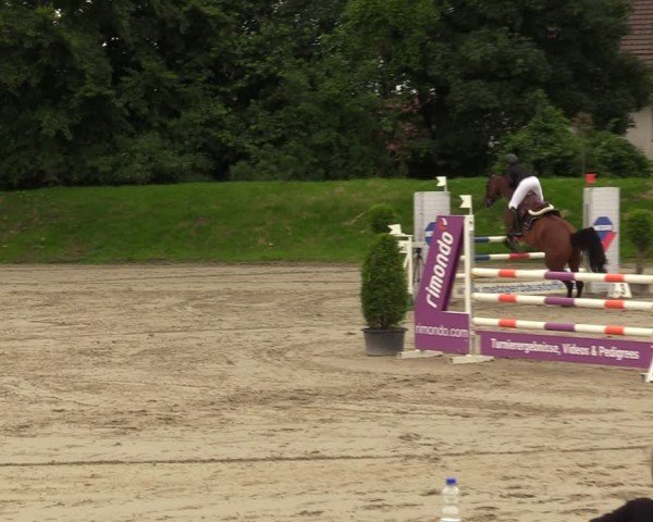 Reitturnier Fröndenberg 2024