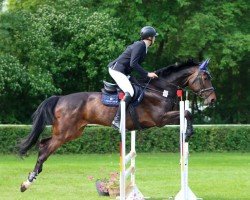 jumper Coco Chanel 323 (unknown, 2016)